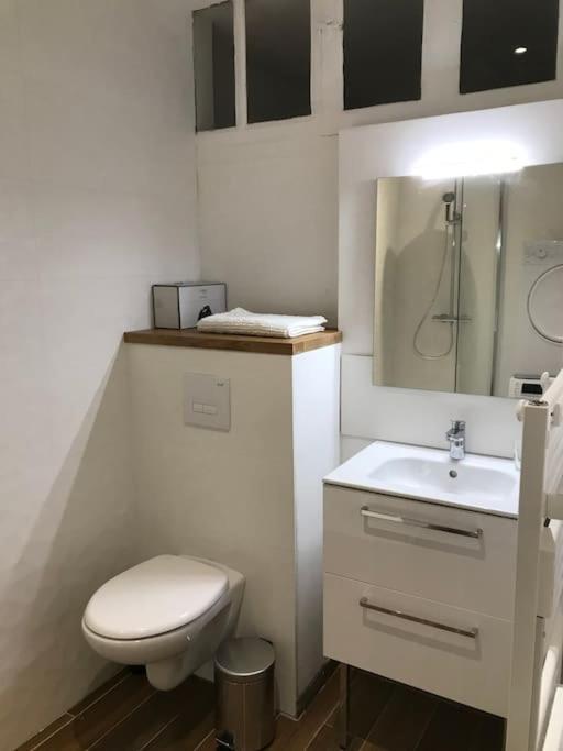 Appartement Cosy A Deux Pas De La Gare لافال المظهر الخارجي الصورة